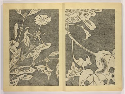 Jakuchū gajō da Ito attr. to Jakuchu